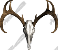 Buck Skull Bone