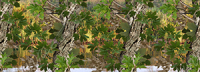 Watery Oak Camo