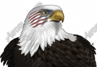 Eagle Headshot Flag