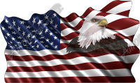 Waving American Flag Eagle Head Small 4