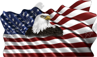 Waving American Flag Eagle Head Small