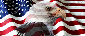 American Flag Waving 2 Eagle