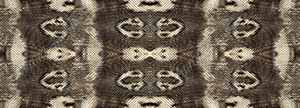 Snake Skin 4