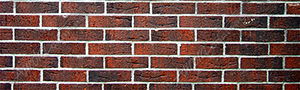 Bricks