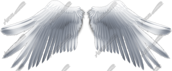 Angel Wings