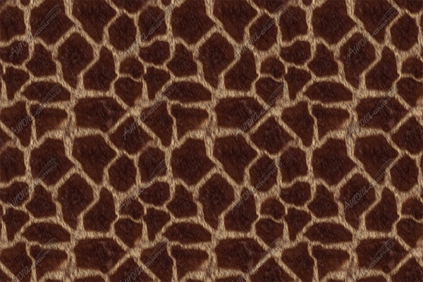 Girraffe Hide 2