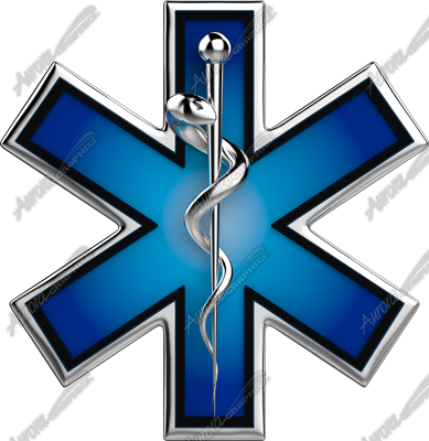 EMS Badge 2