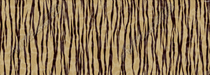 Tanned Tiger Hide