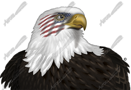 Eagle Headshot Flag