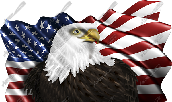 Waving American Flag Eagle Head 2 Cloth - Aurora Graphics