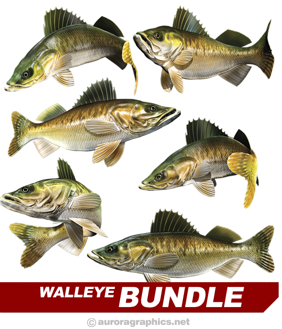 Walleye Bundle - Aurora Graphics